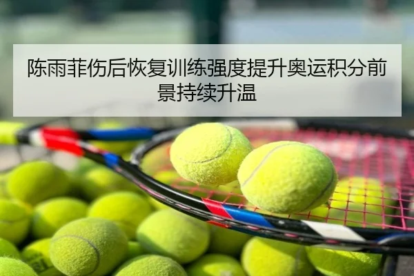 陈雨菲伤后恢复训练强度提升奥运积分前景持续升温